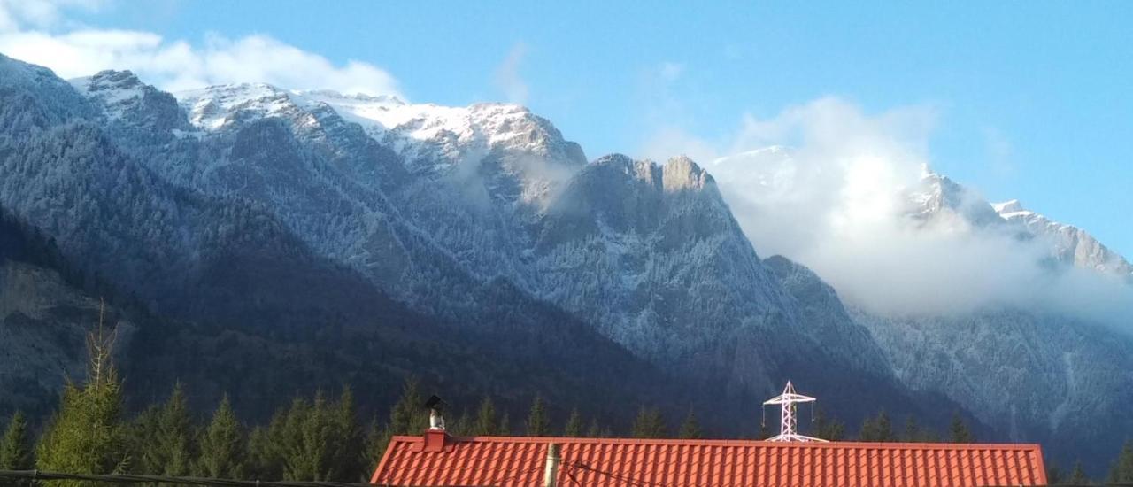 Poiana Dintre Brazi Chalet, Bucegi Panorama Синая Екстериор снимка